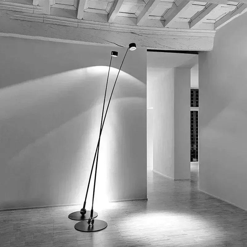 Floor Lamp Long Pole Led Fishing Light