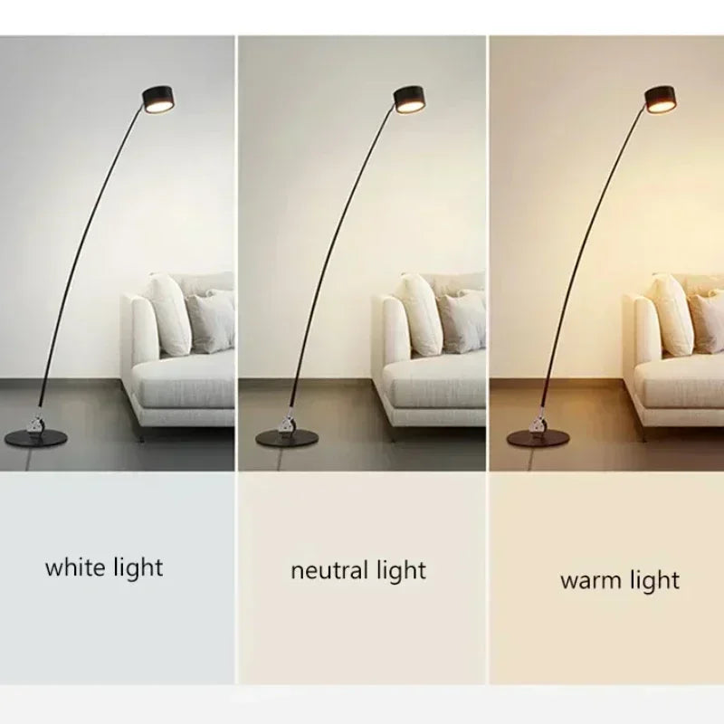 Floor Lamp Long Pole Led Fishing Light